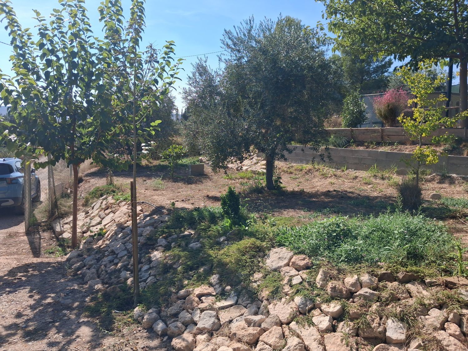 Finca rústica en Partida Poligono 01, 6 - Foto 4