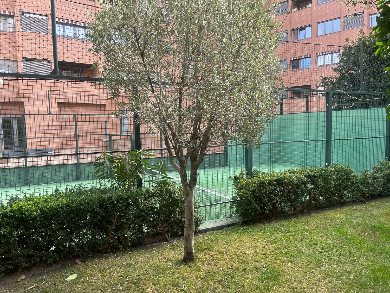 Piso en Barrio Las Tablas - Foto 29