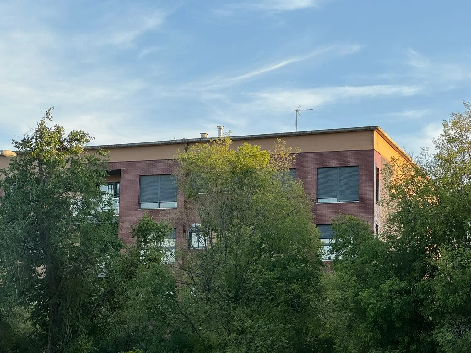 Piso en calle Águila Perdicera, 2 - Foto 1