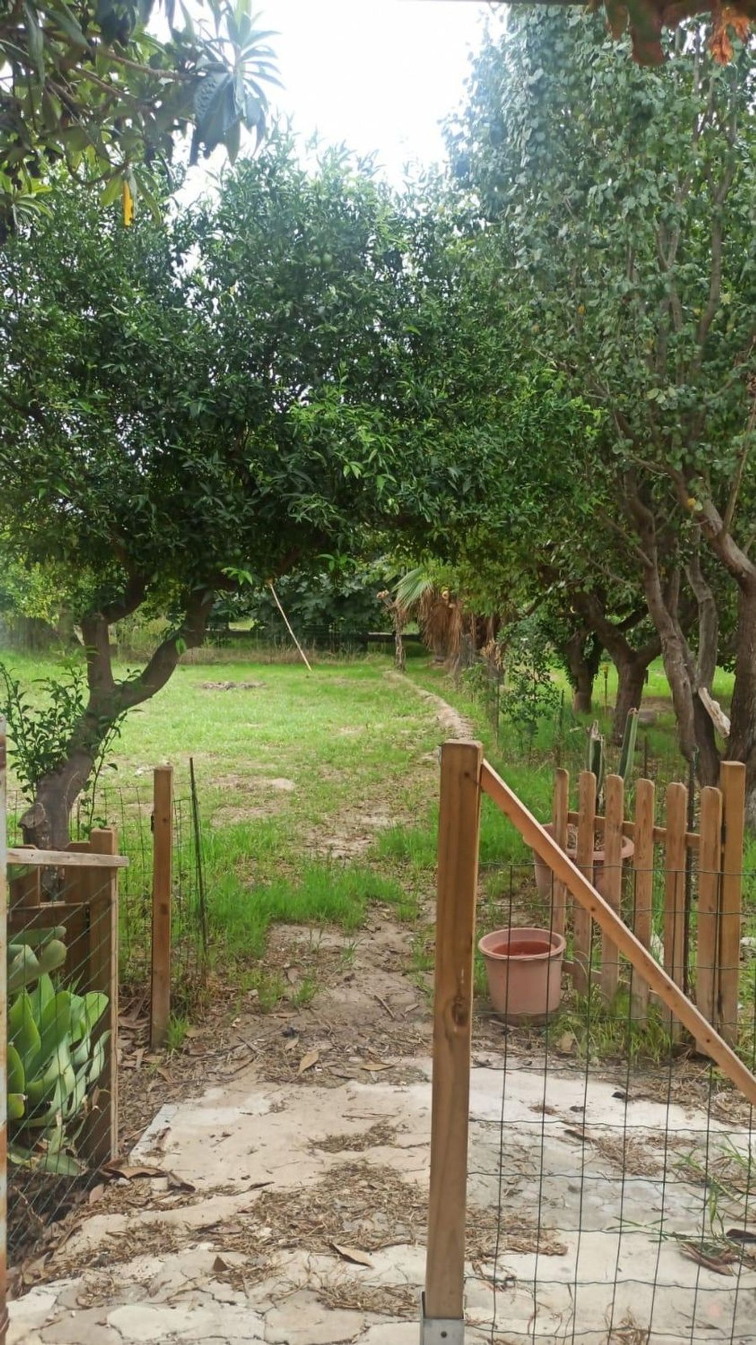 Casa independiente en carril Campillos, 1 - Foto 18