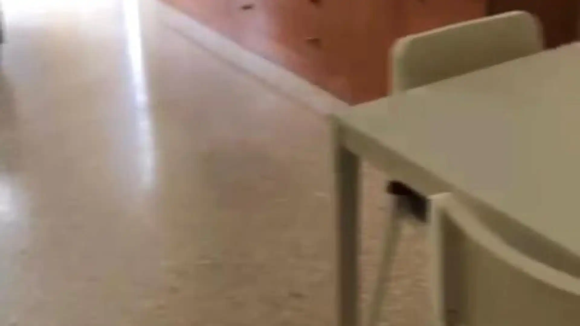 Piso en  Calle Mesonero Romanos 18 - Foto 2