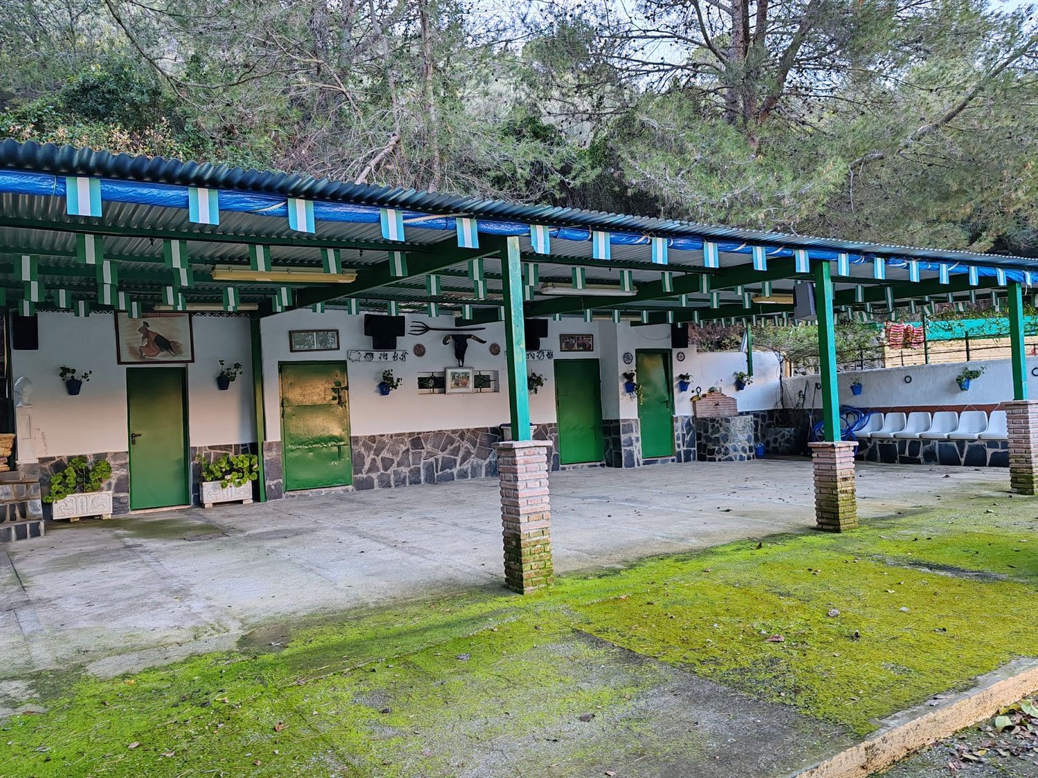 Casa o chalet independiente en venta en Llanos De Purla, 16 - Foto 23