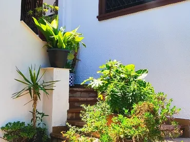 Chalet en  Carrer del Camí del Llor 24 - Foto 8