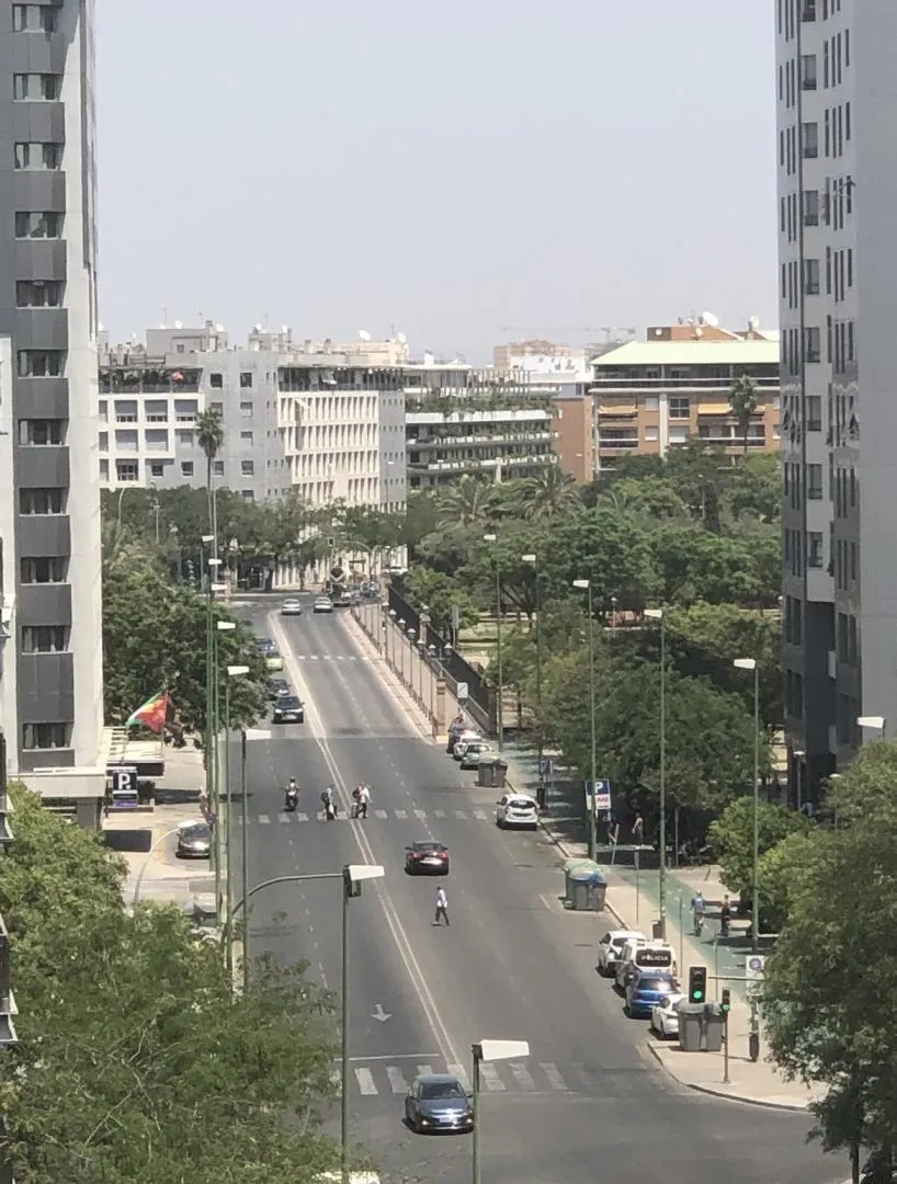 Piso en  Avenida de la Buhaira 30 - Foto 5