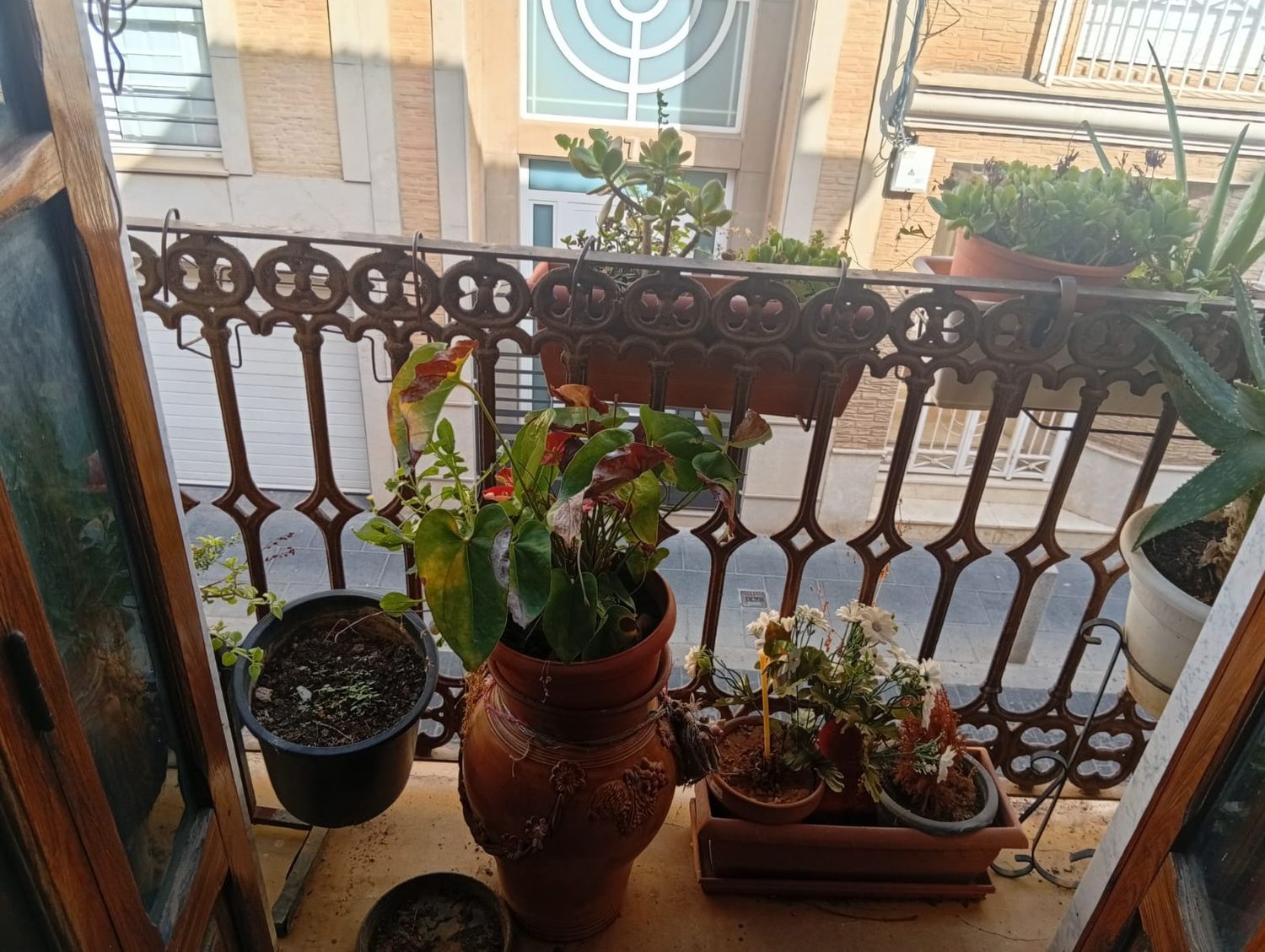 Casa de pueblo en Calle de Sant Blai, 5 - Foto 3