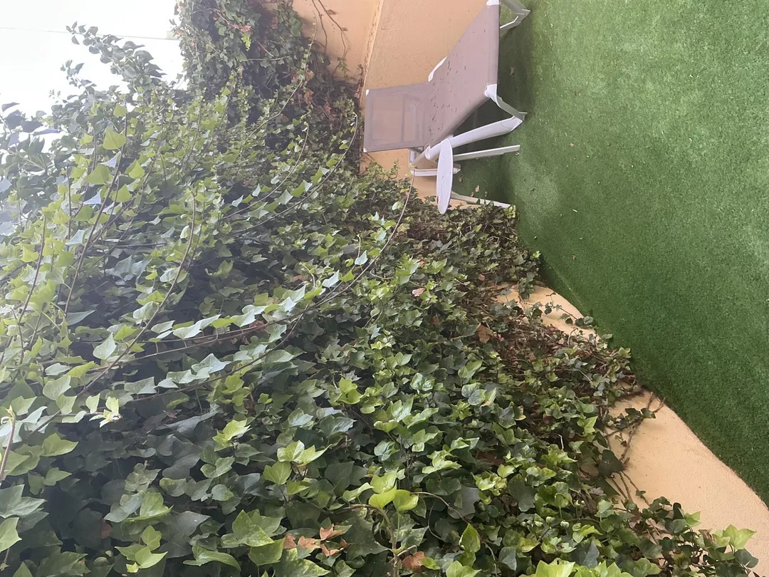 Dúplex en  Calle Alfonso de Armas Ayala 23 - Foto 3