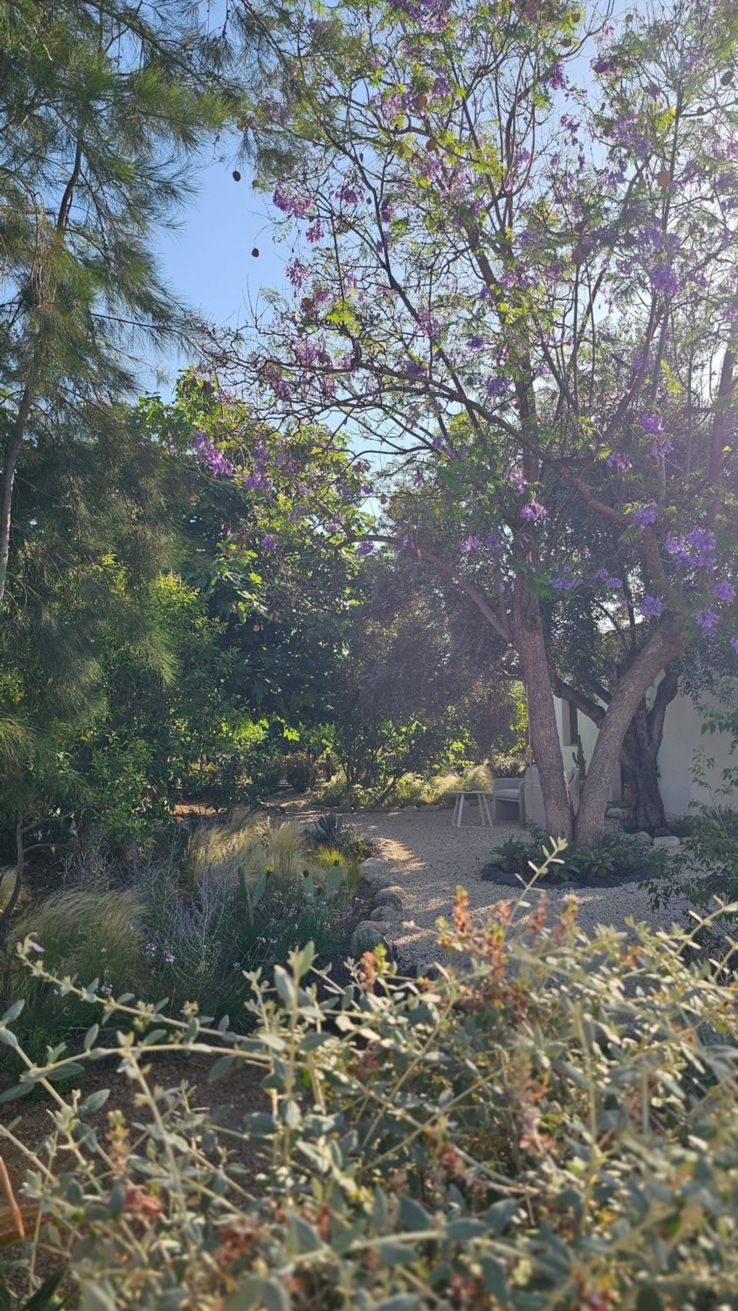 Finca rústica en Altea Pueblo, Altea Pueblo - Foto 14