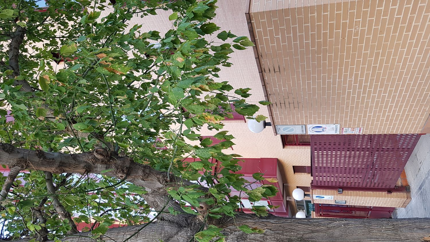 Piso en calle del Corindón, 12 - Foto 23