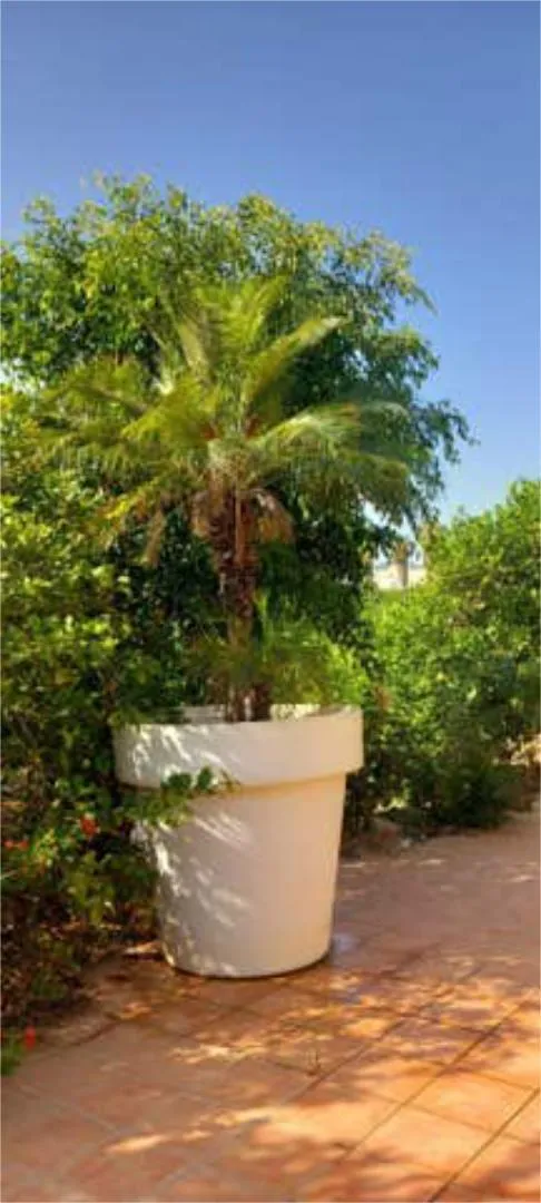 Chalet en Beniaján - Foto 9