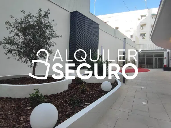 Piso en Calle d'Agustín Lara, Els Orriols - Foto 12