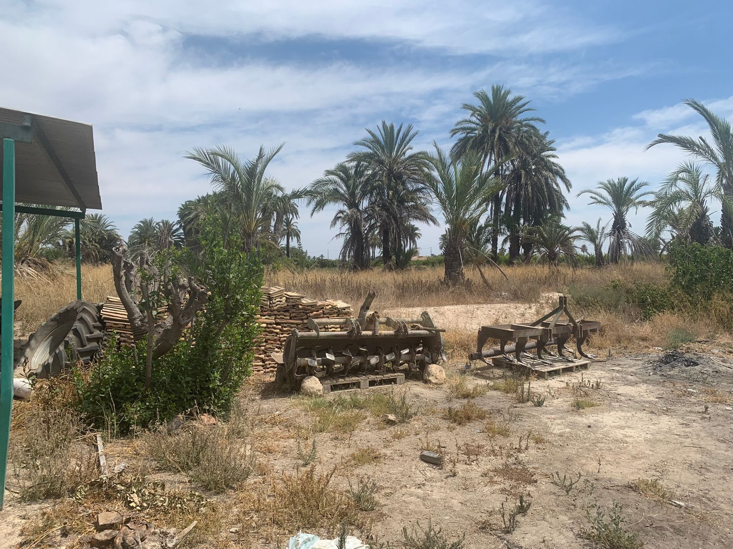 Finca rústica en Carretera de Elche a Casas del León, 30, Algoda-Matola-Llano de San José, Algoda-Matola-Llano de San José - Foto 15
