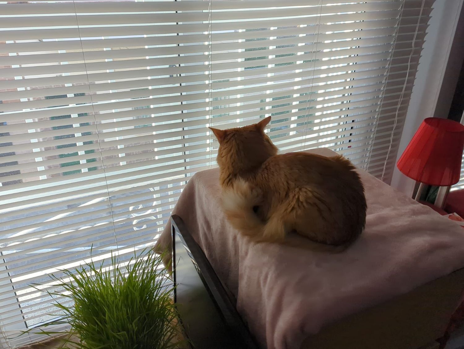 Piso en calle de la Verja, 44 - Foto 61