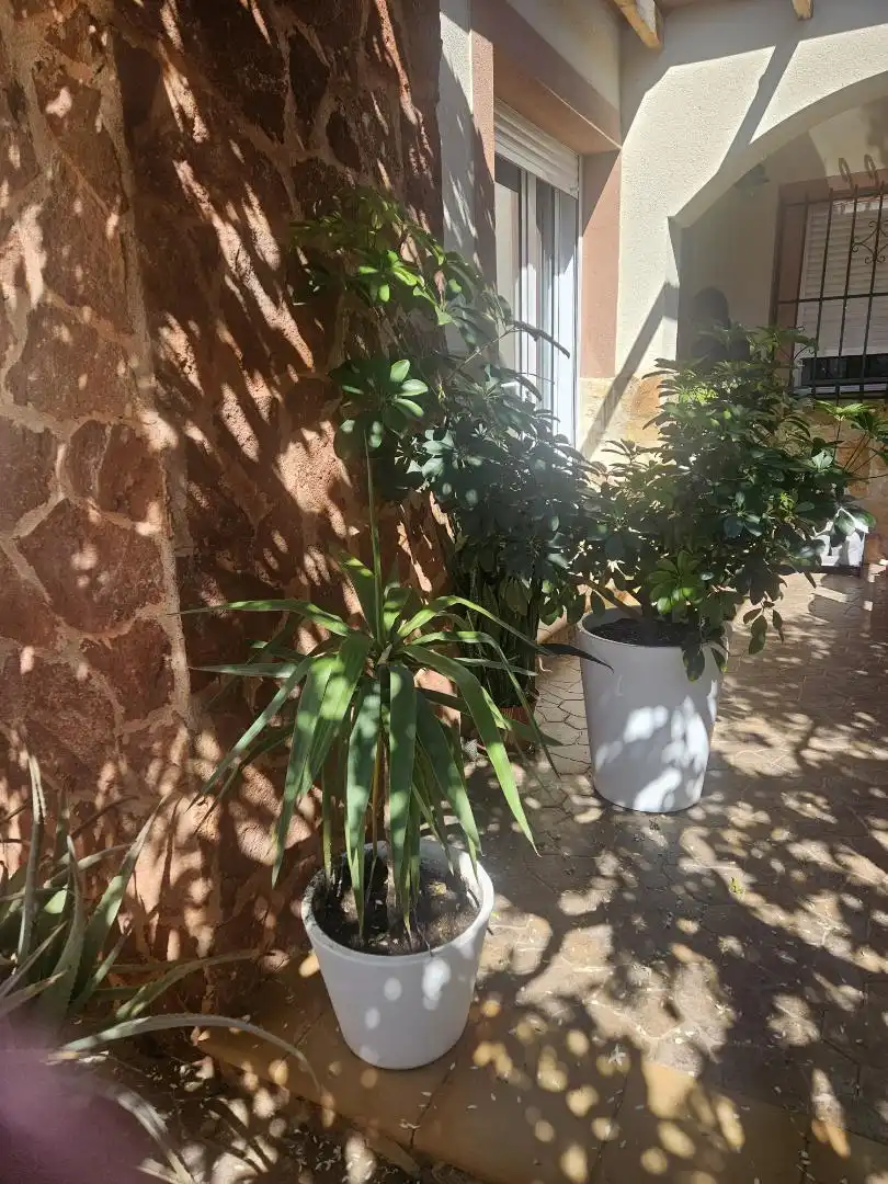 Planta baja en  Calle Castillete 59 - Foto 4
