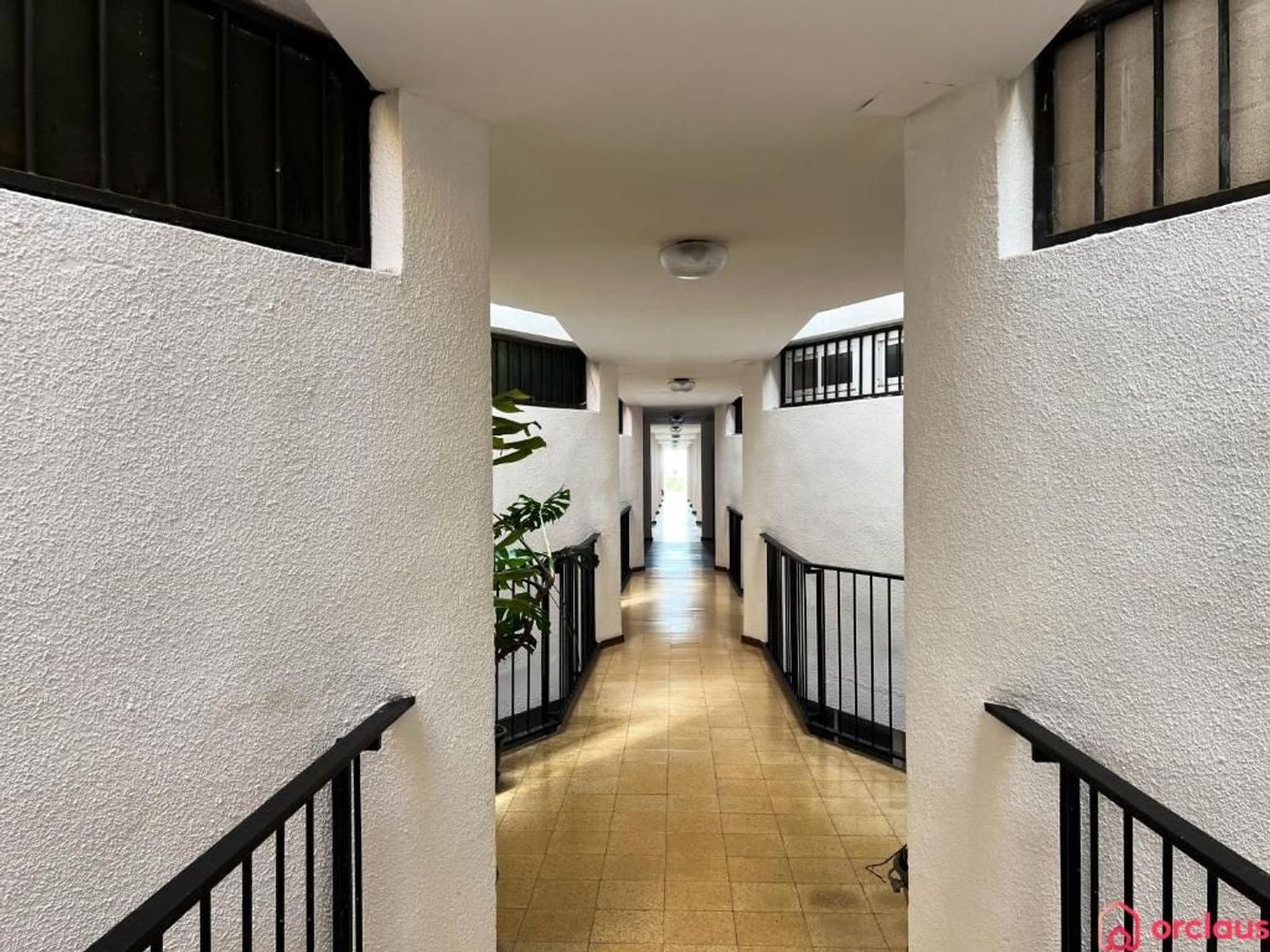 Estudio en Avenida de Ferrandis Salvador, 52 - Foto 10