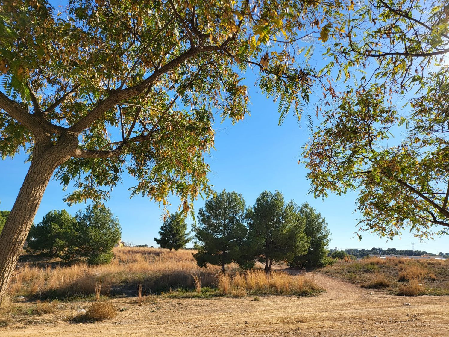 Casa independiente en calle Montcada, 20 - Foto 26