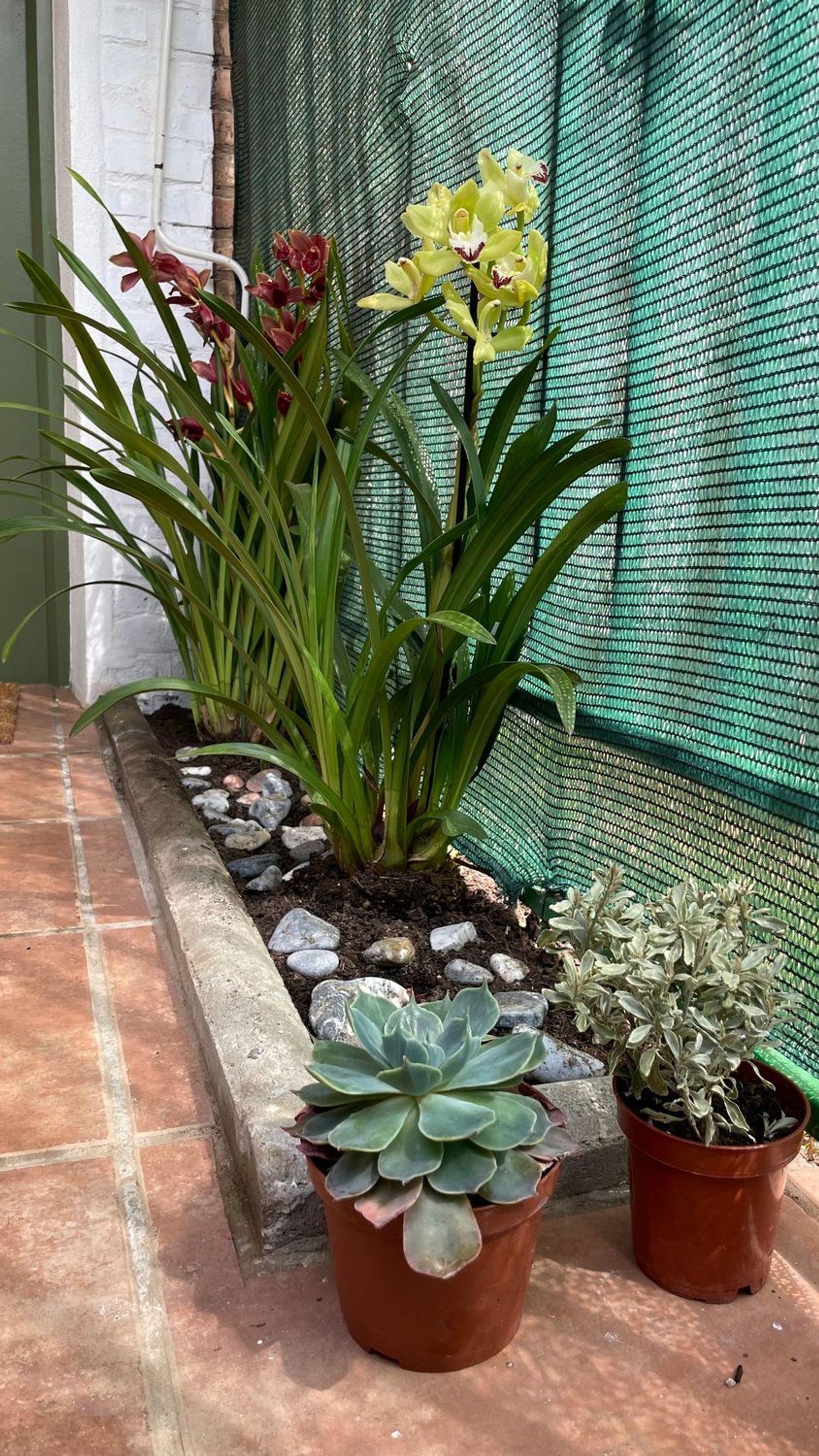 Piso en Avenida de los Álamos, 17 - Foto 22