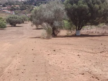 Terreno No Urbanizable en  Camino a Los Toscales - Foto 1