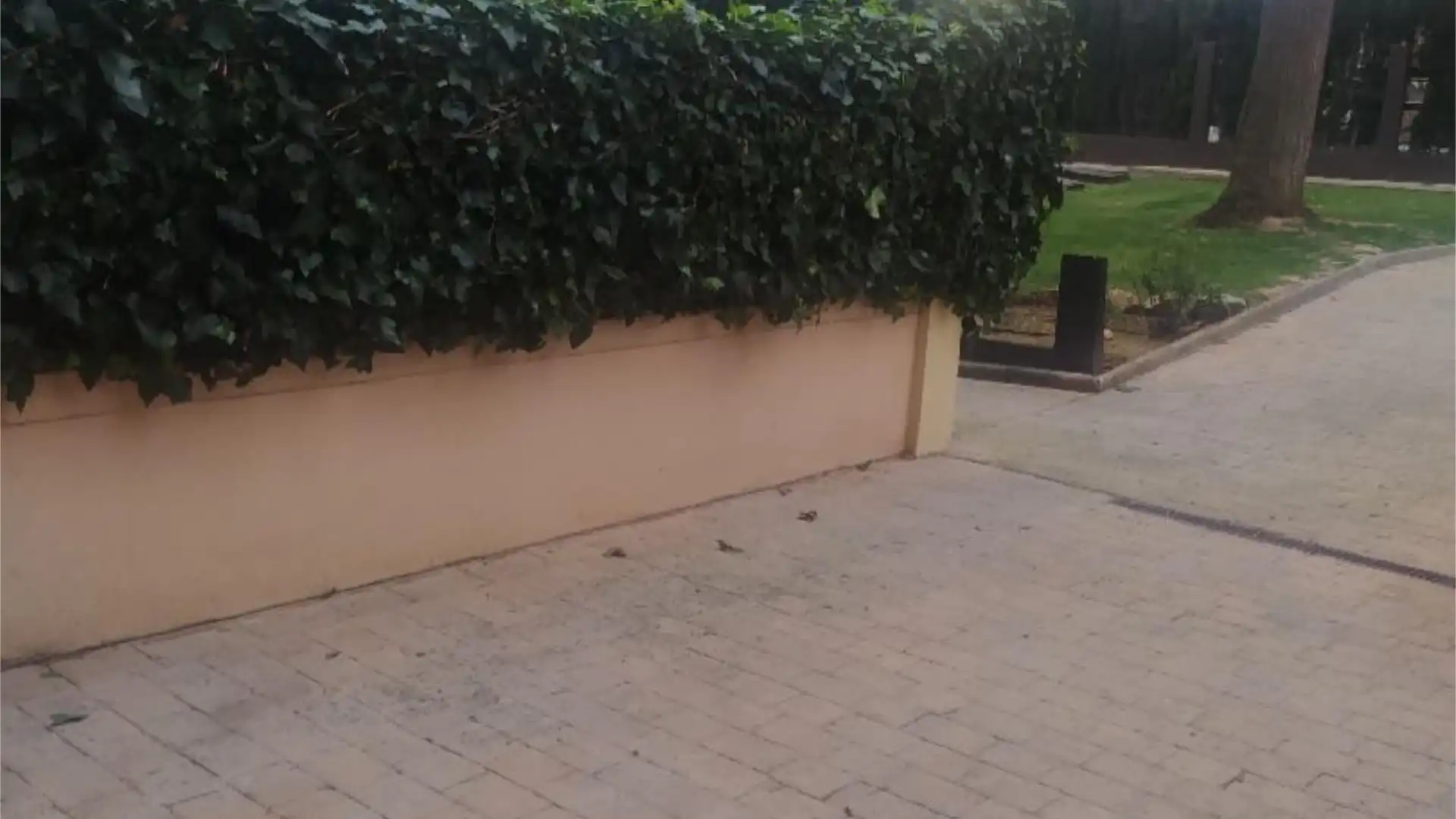 Planta baja en  Carrer de Juan Gris 15 - Foto 7