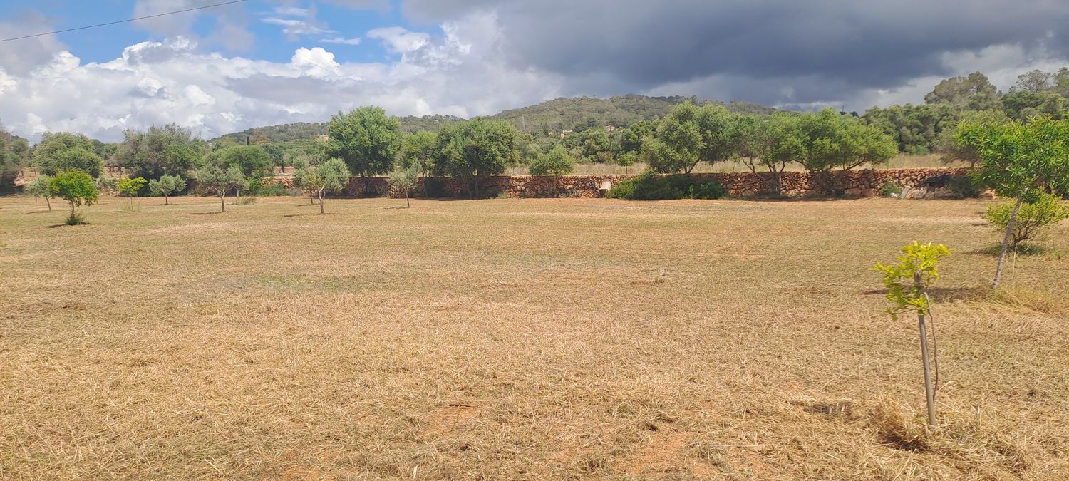 Finca rústica en Llucmajor Interior - Foto 23