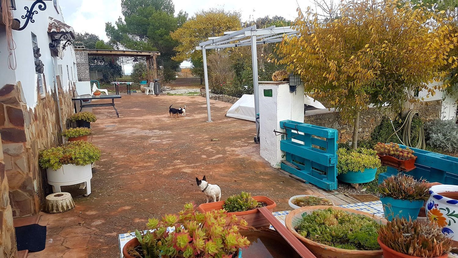 Casa rural en Diseminado Salinas, 520 - Foto 4