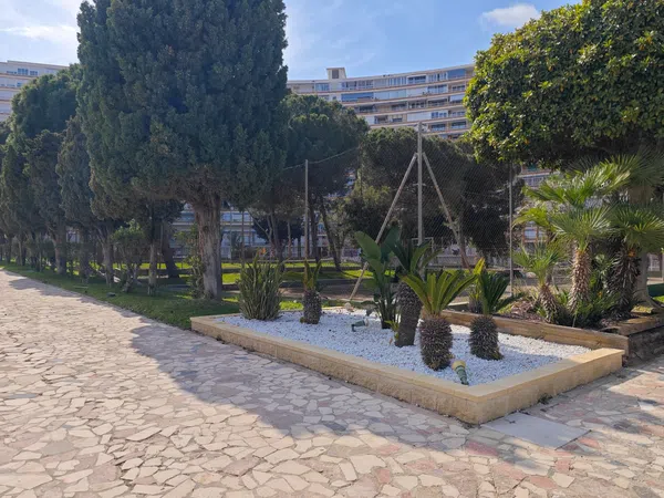 Piso en Avenida Benidorm, 18, Playa de San Juan - Foto 18