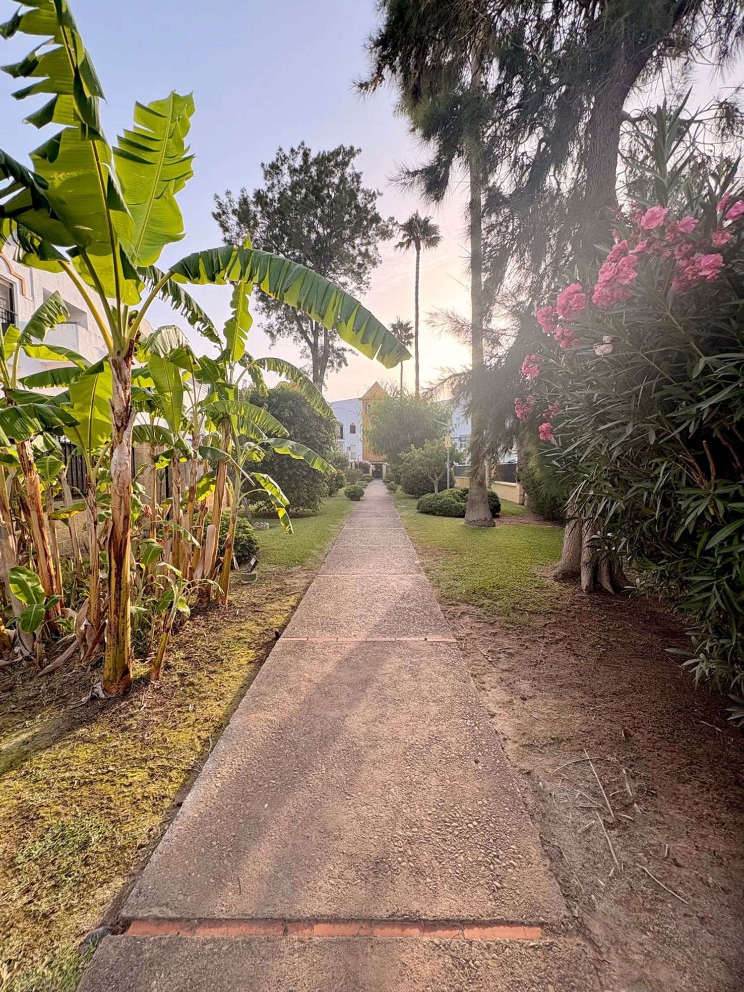 Piso en Los Gallos - La Coquina, Los Gallos - La Coquina - Foto 14