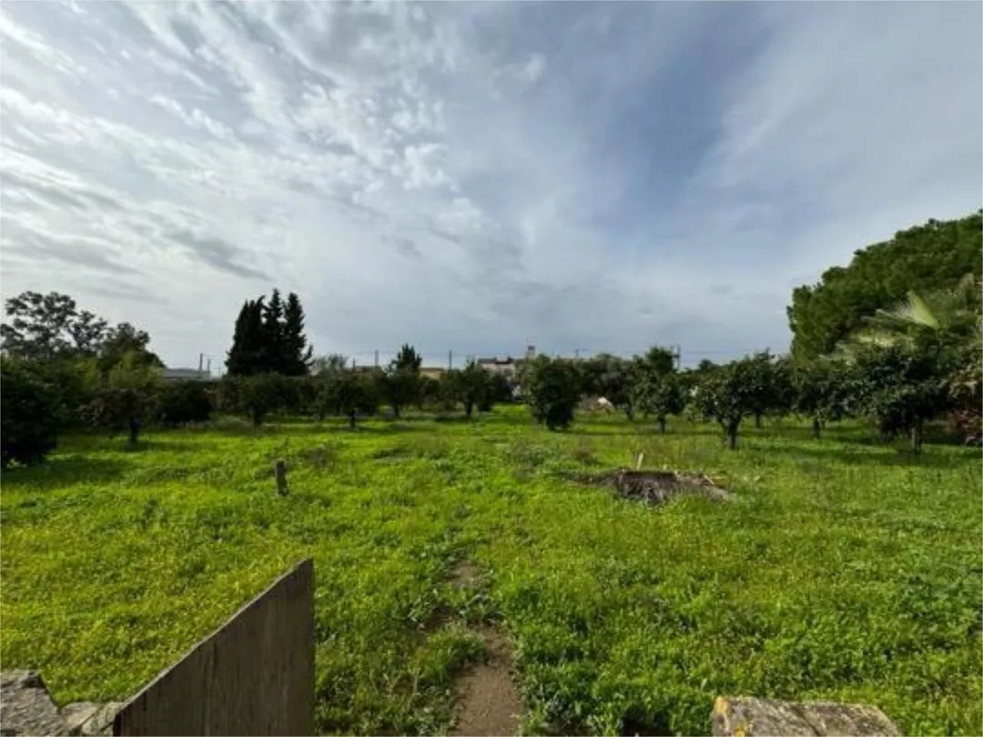 Casa adosada en Zona Norte - Foto 7