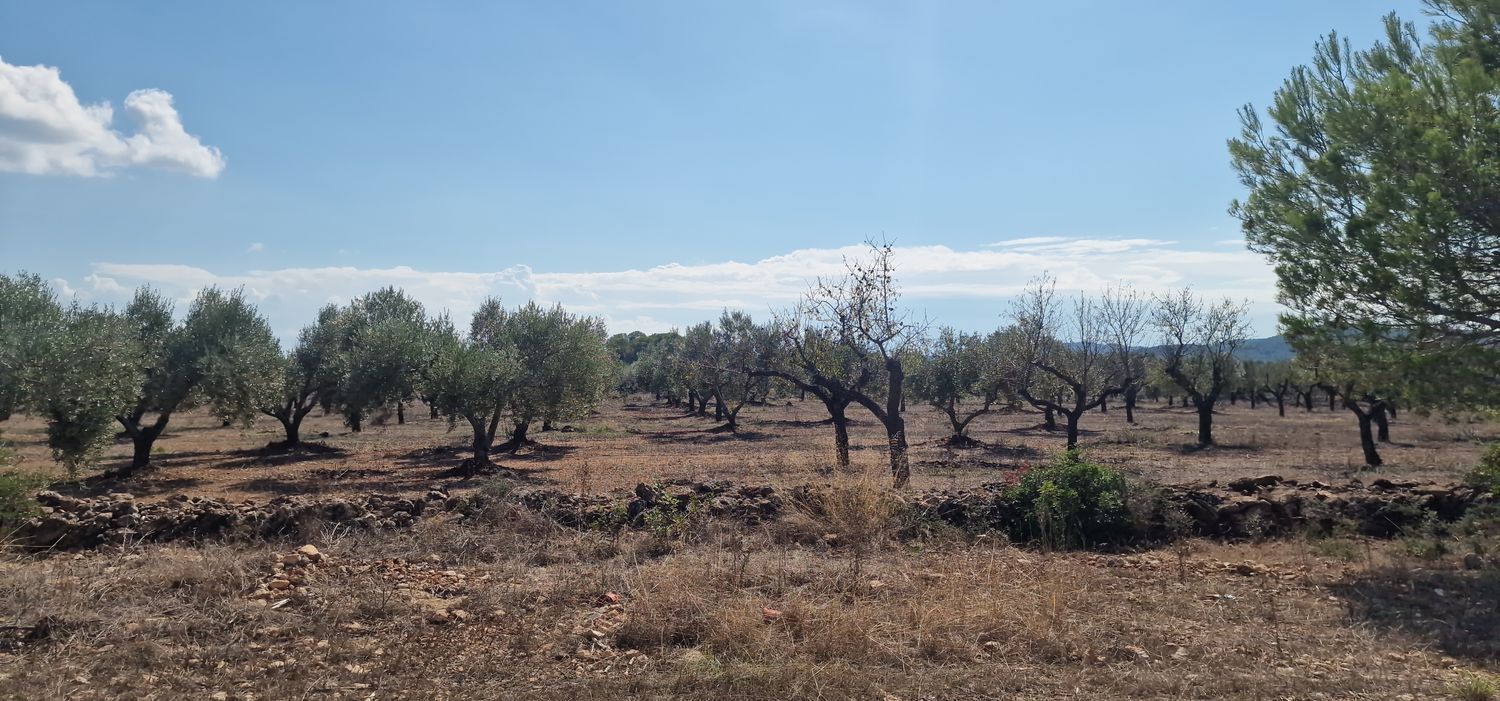 Finca rústica en Via Sense Nom s/n - Foto 27