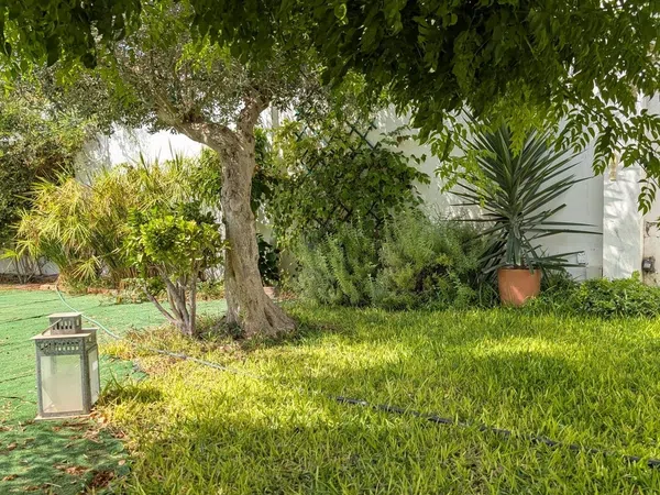 Casa o chalet independiente en Urb. Las Luisas, 30, La Hacienda - Nueva Andalucía, La Hacienda - Nueva Andalucía - Foto 9