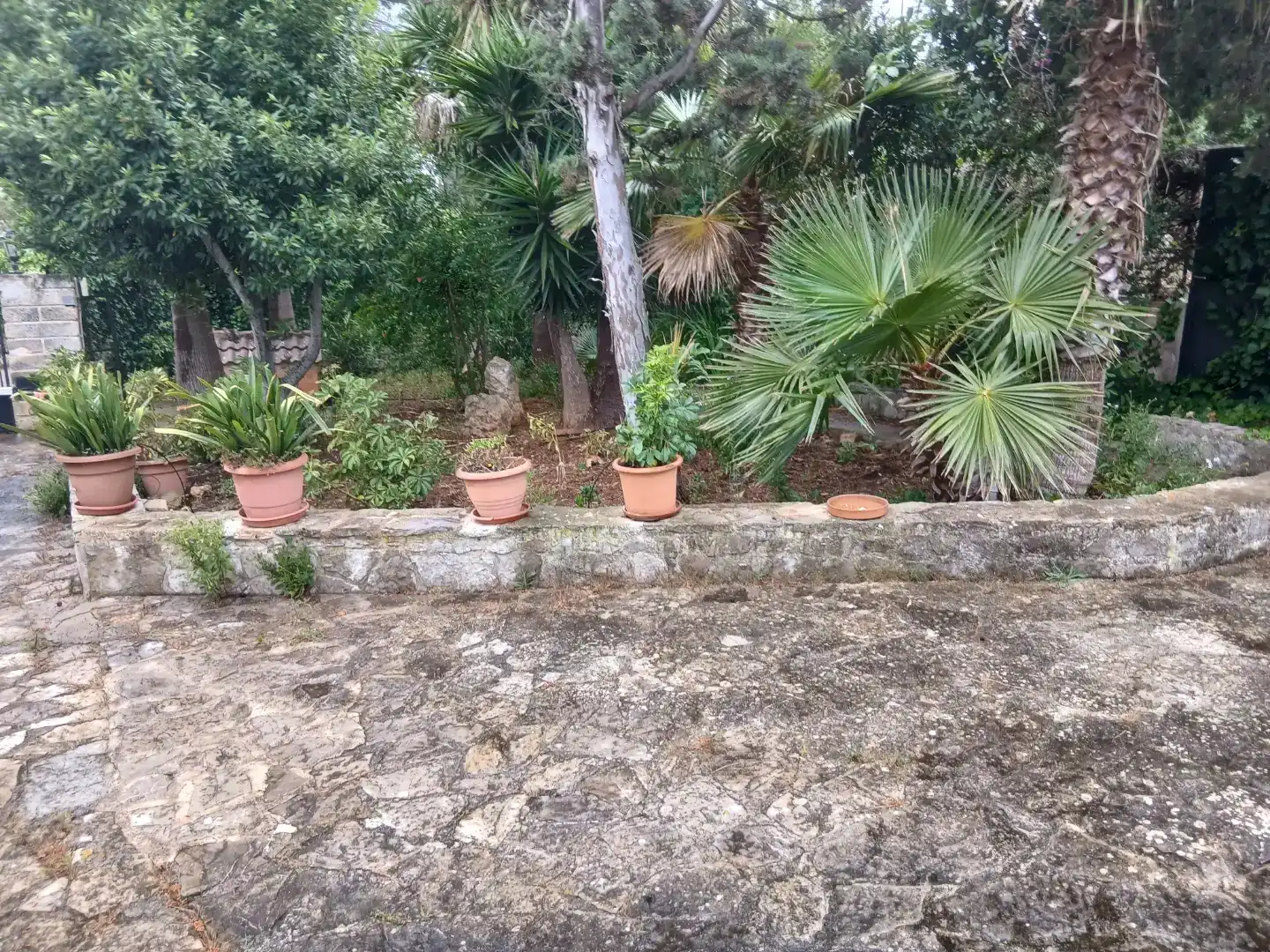 Finca rústica en  Carrer Marjades 92 - Foto 4