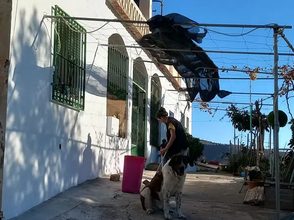 Cortijo en Cortijo en cercado, 22 - Foto 3