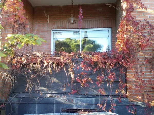 Chalet adosado en Las Colmenas, 32, La Navata, La Navata - Foto 14