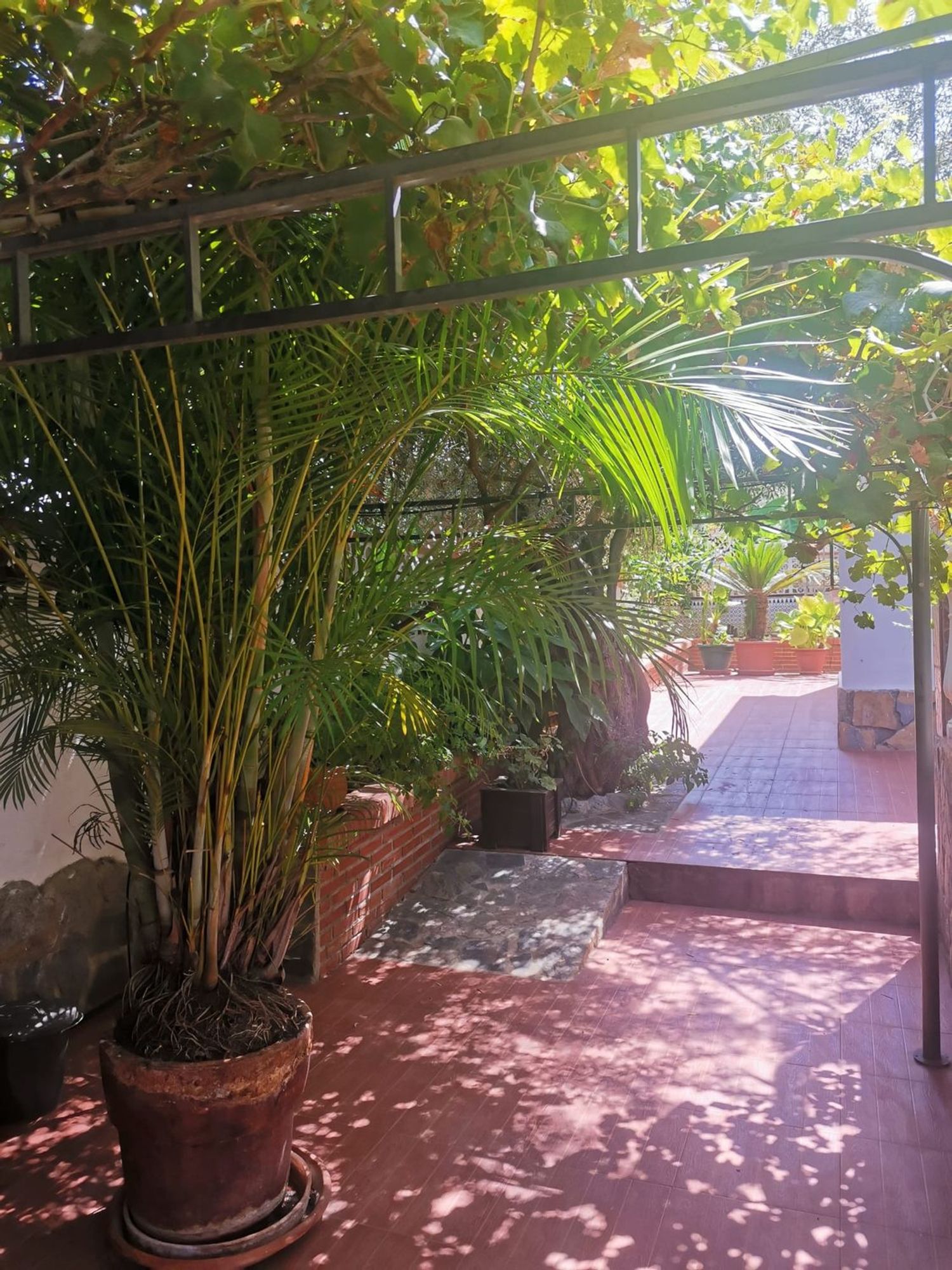 Casa o chalet independiente en Calle Mayoral, 19, Manantiales - Lagar - Cortijo, Manantiales - Lagar - Cortijo - Foto 37