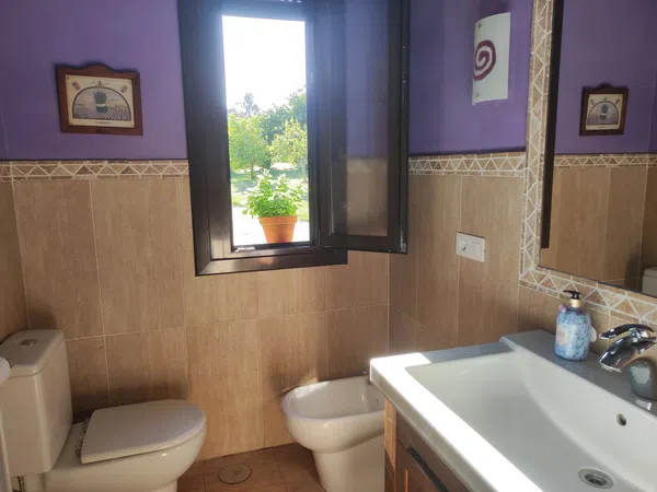 Casa o chalet independiente en Carretera de la Granda, 305, Bocines - Nembro - Cardo, Bocines - Nembro - Cardo - Foto 18