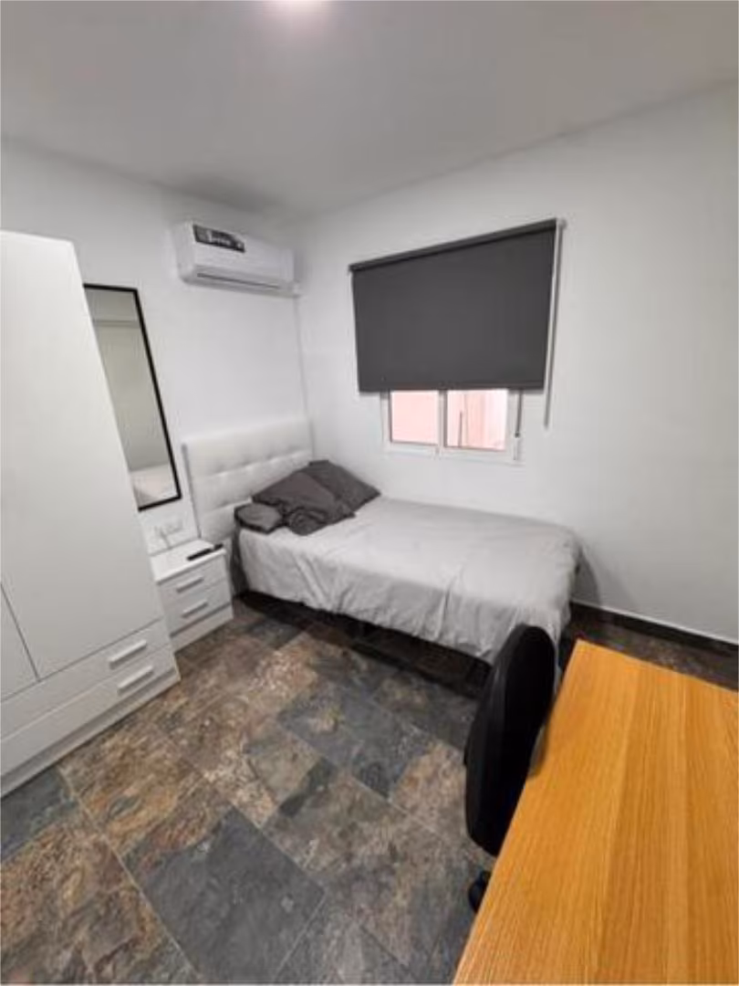 Estudio en jabalí viejo - Foto 4