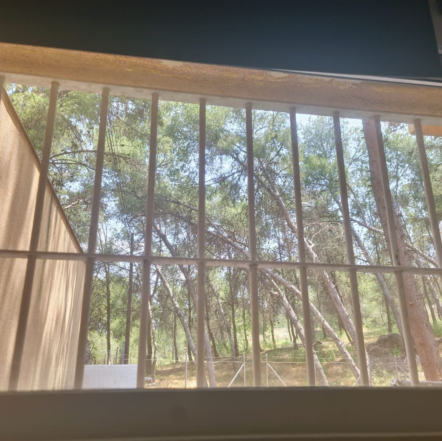 Piso en calle Abeto, 16 - Foto 17