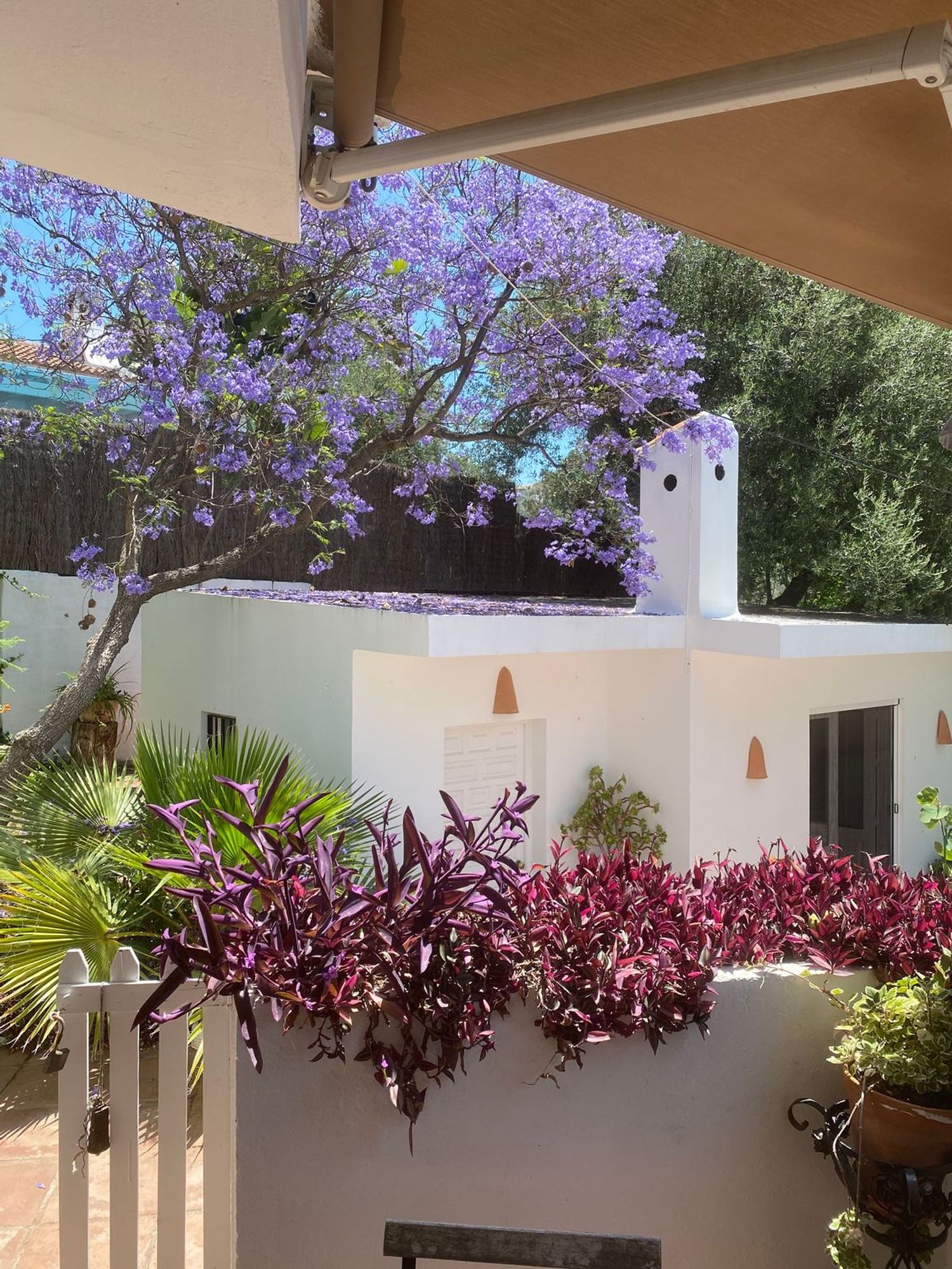Casa o chalet independiente en Calle de la Palmera, 6, Las Lomas - Foto 30