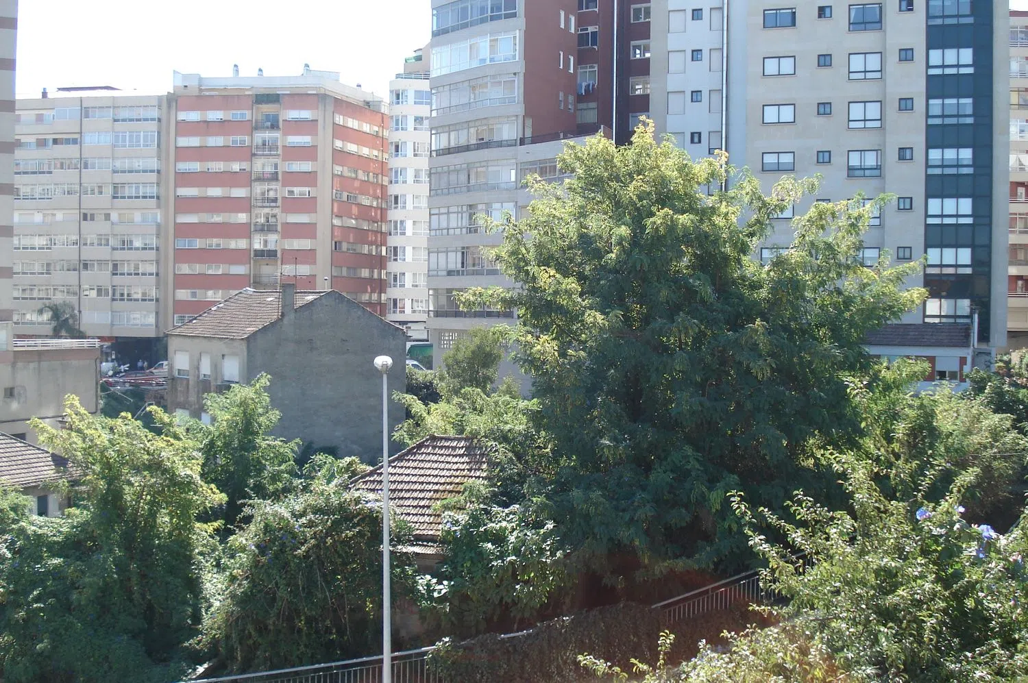 Piso en calle Pino, 132 - Foto 12
