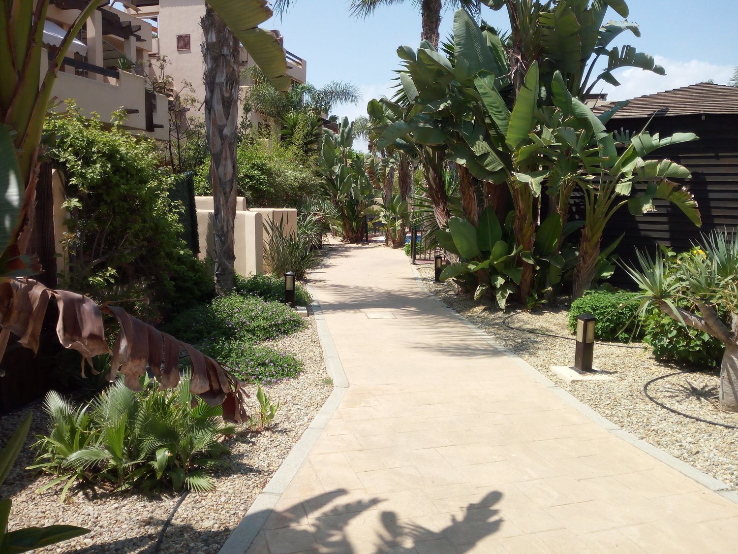 Piso en Arrayan, 4, Puerto Vera, Puerto Vera - Foto 18