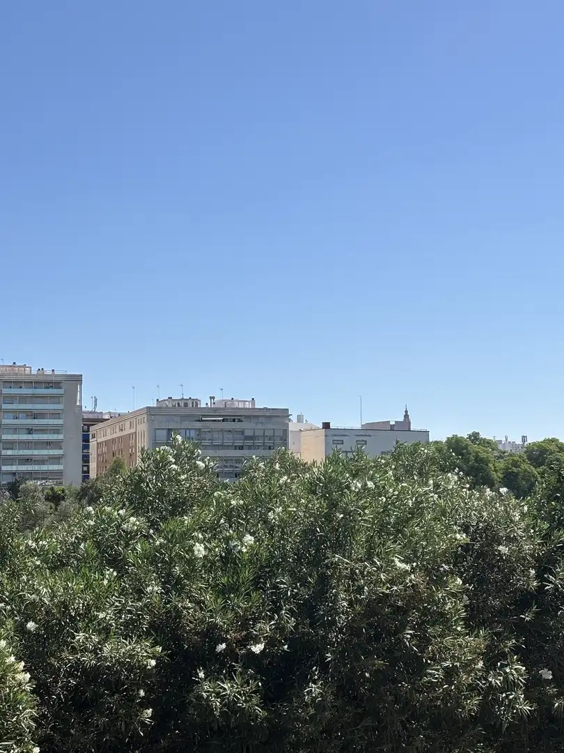 Piso en  Calle Castilla 82 - Foto 3