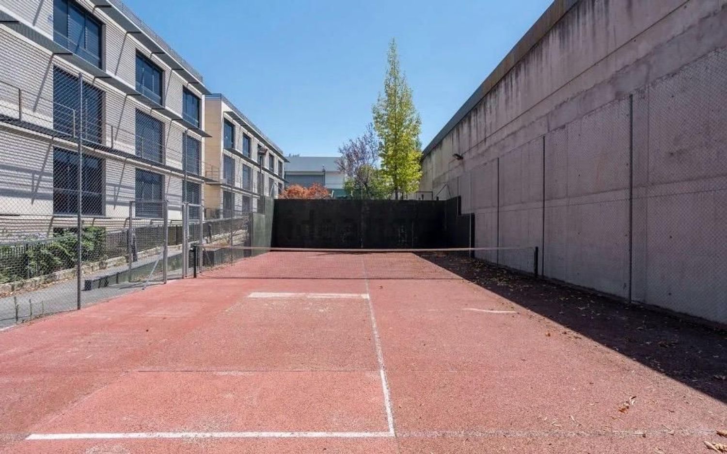 Estudio en Calle Pollensa, 1, El Pinar- Punta Galea - Foto 7