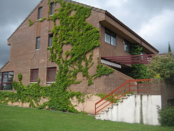 Chalet pareado en Colonia - Foto 3