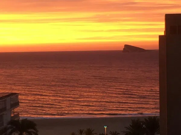 Estudio en calle L'Alfas del Pi, 8 - Foto 28