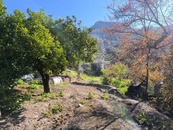 Cortijo en Via Sin Nombre s/n - Foto 33