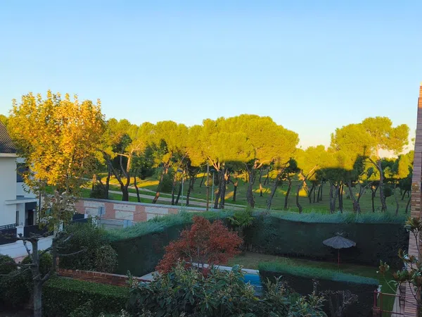 Estudio en Barrio Somosaguas