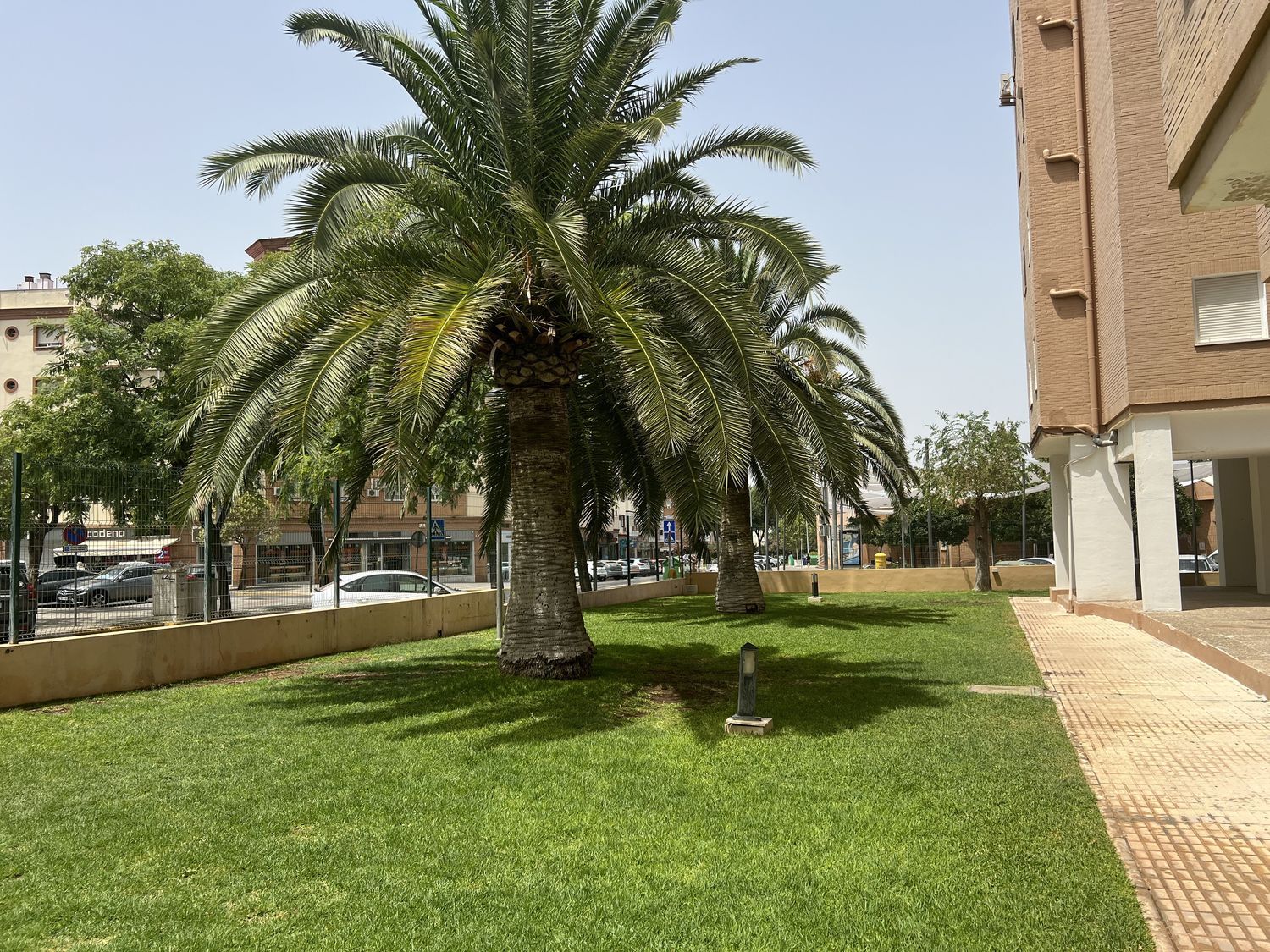 Piso en Urb los pinos, 2, Centro, Centro - Foto 19