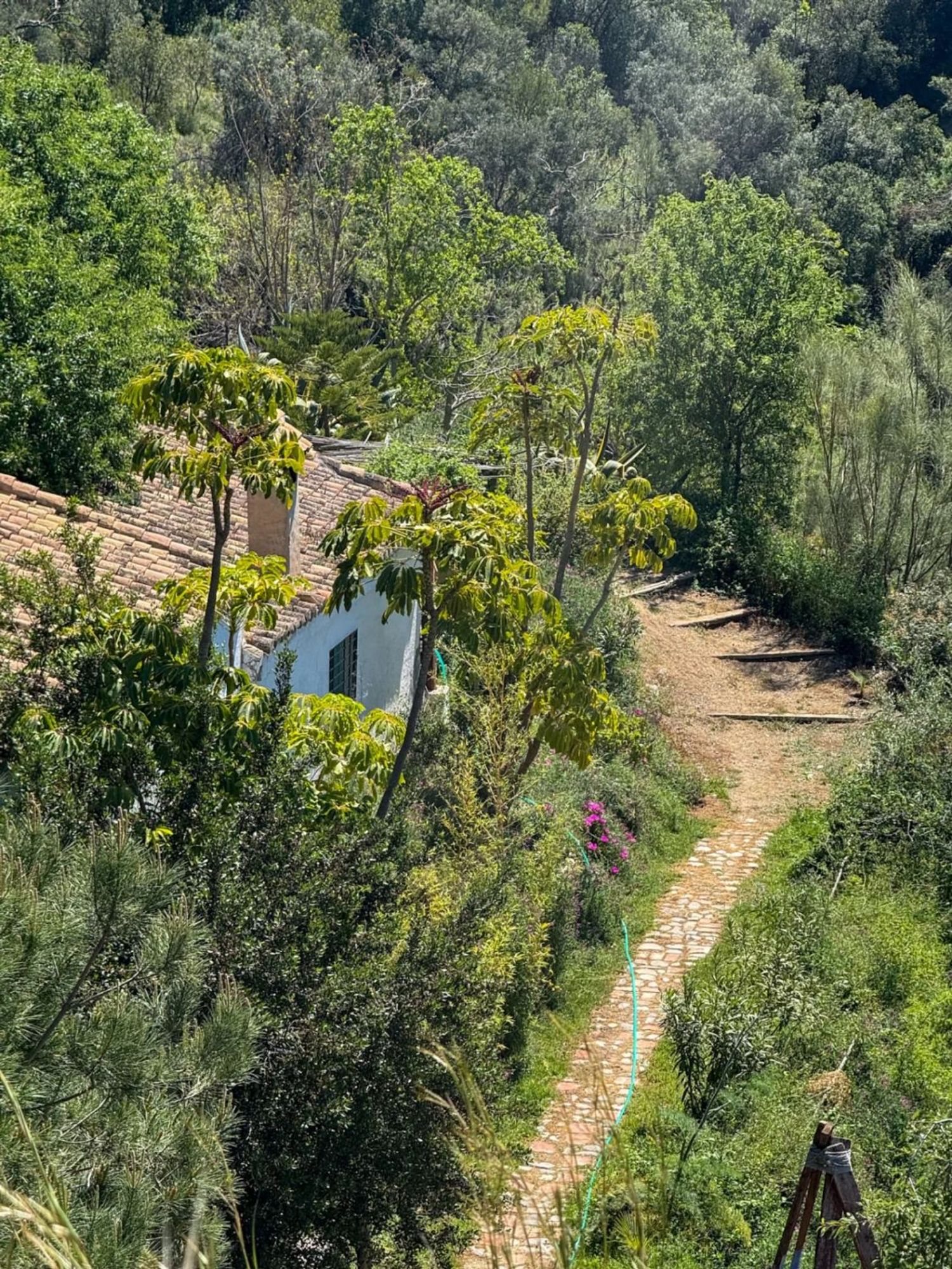 Cortijo en Cortijo en Camino rio seco, 1, Almuñecar Centro, Almuñecar Centro - Foto 3