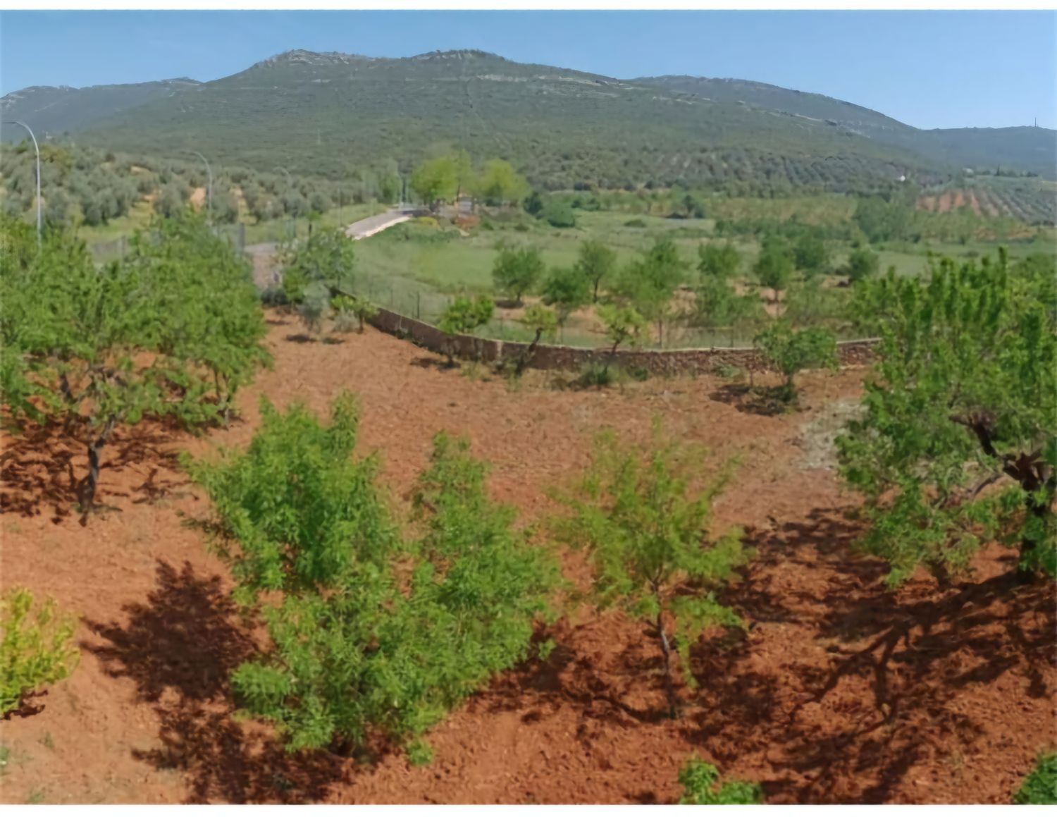 Casa o chalet independiente en Calle Haza Cristo, 3 - Foto 3