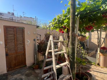 Planta baja en  Carrer Bellavista-D 13 - Foto 1