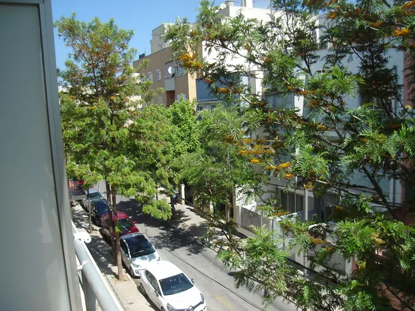 Piso en Calle Alber, 30, Rafal Vell - Foto 17